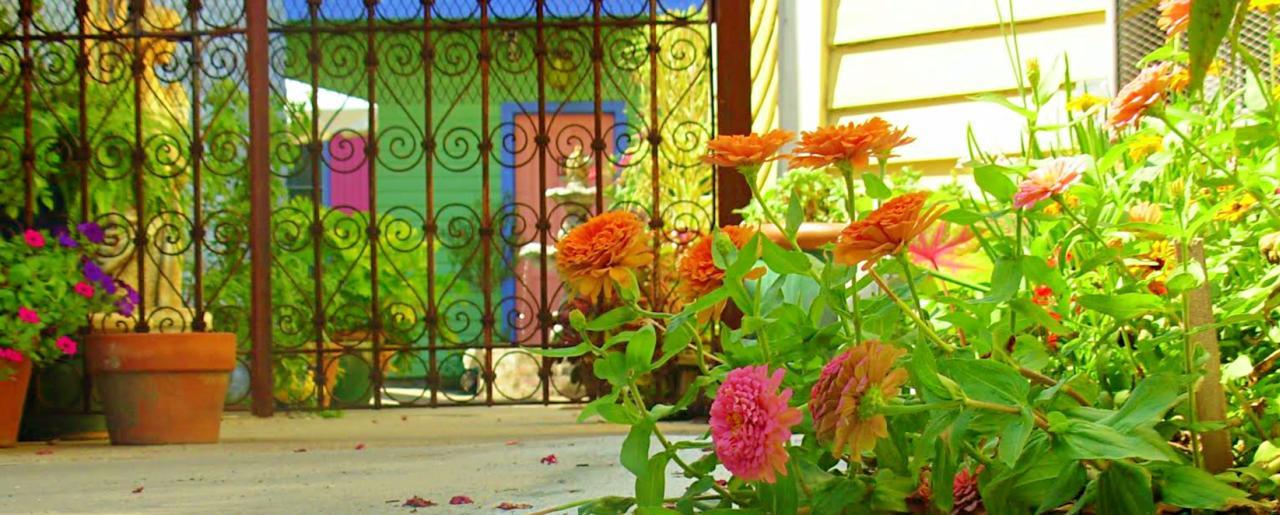 Creole Gardens Guesthouse And Inn New Orleans  Kültér fotó